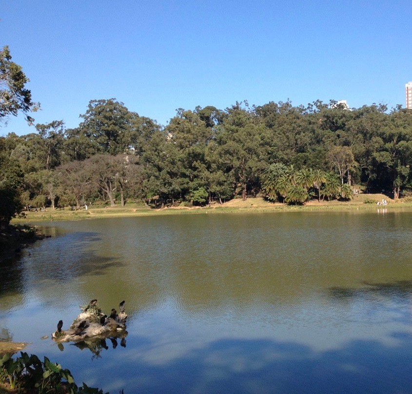 Parque da Aclimação-圣保罗必去景点