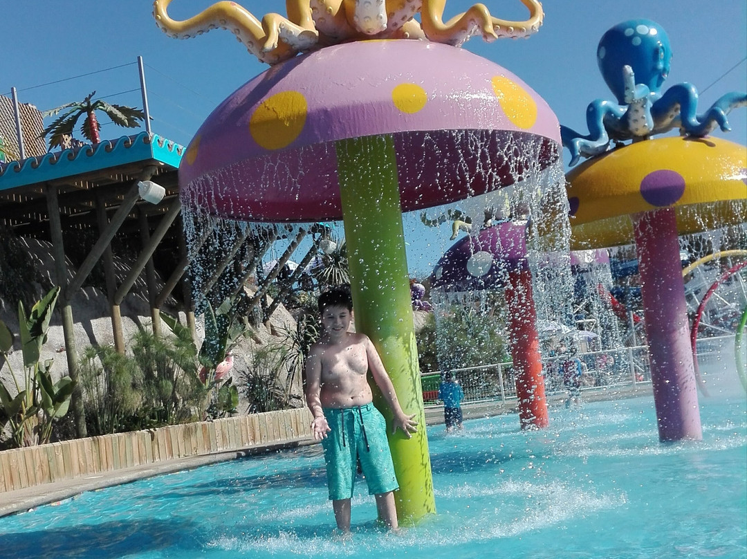 Parque Acuatico Aviva-比尼亚德尔马必去景点