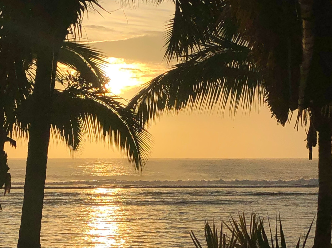 魔术金沙别墅主图