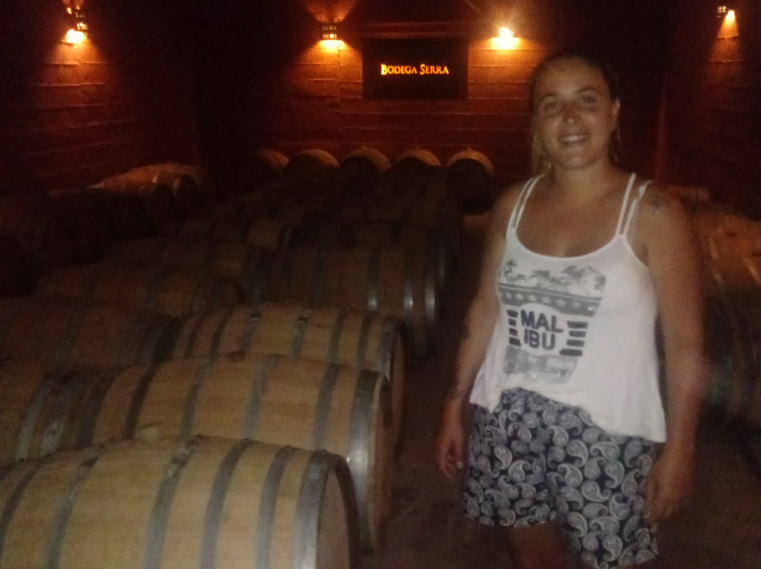 La Vieja Bodega-圣拉斐尔必去景点