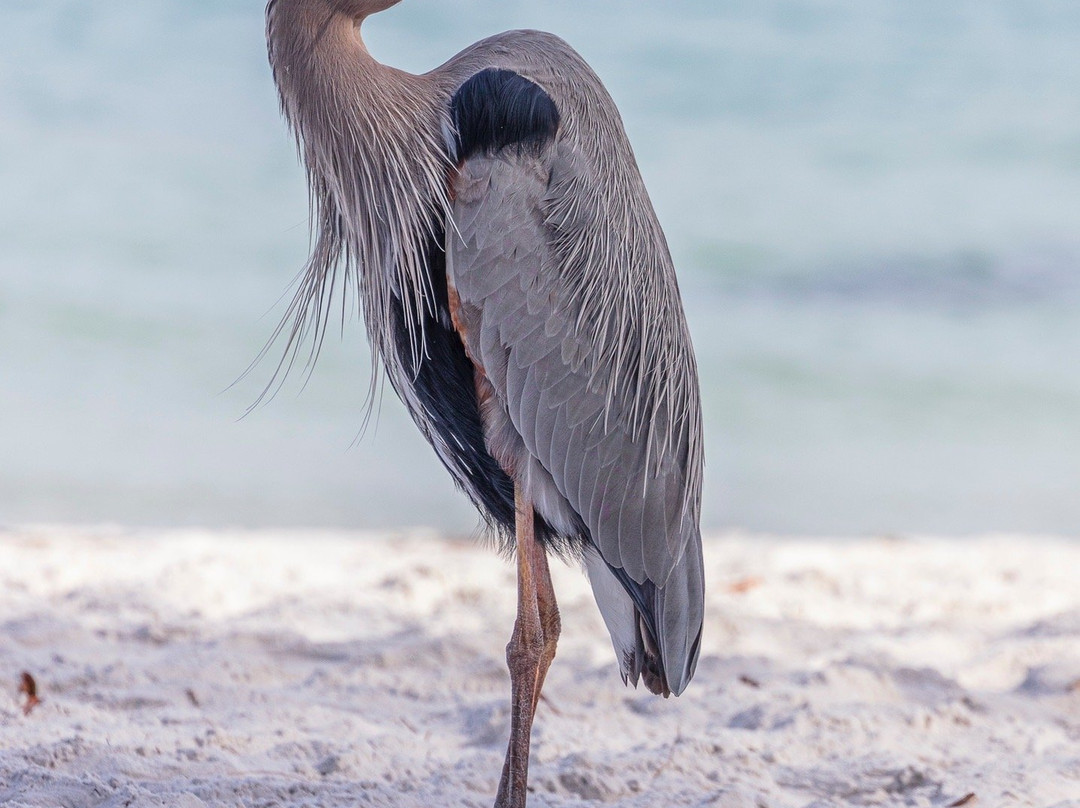 Ted Sperling Park-萨拉索塔必去景点
