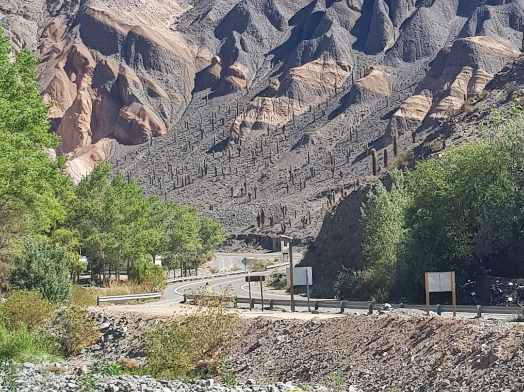 El Alfarcito-Rosario de Lerma必去景点