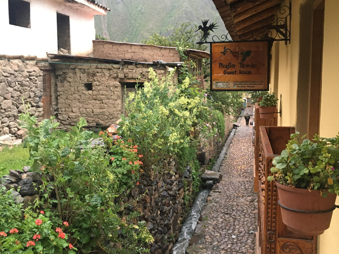 Picaflor Tambo Guest House主图