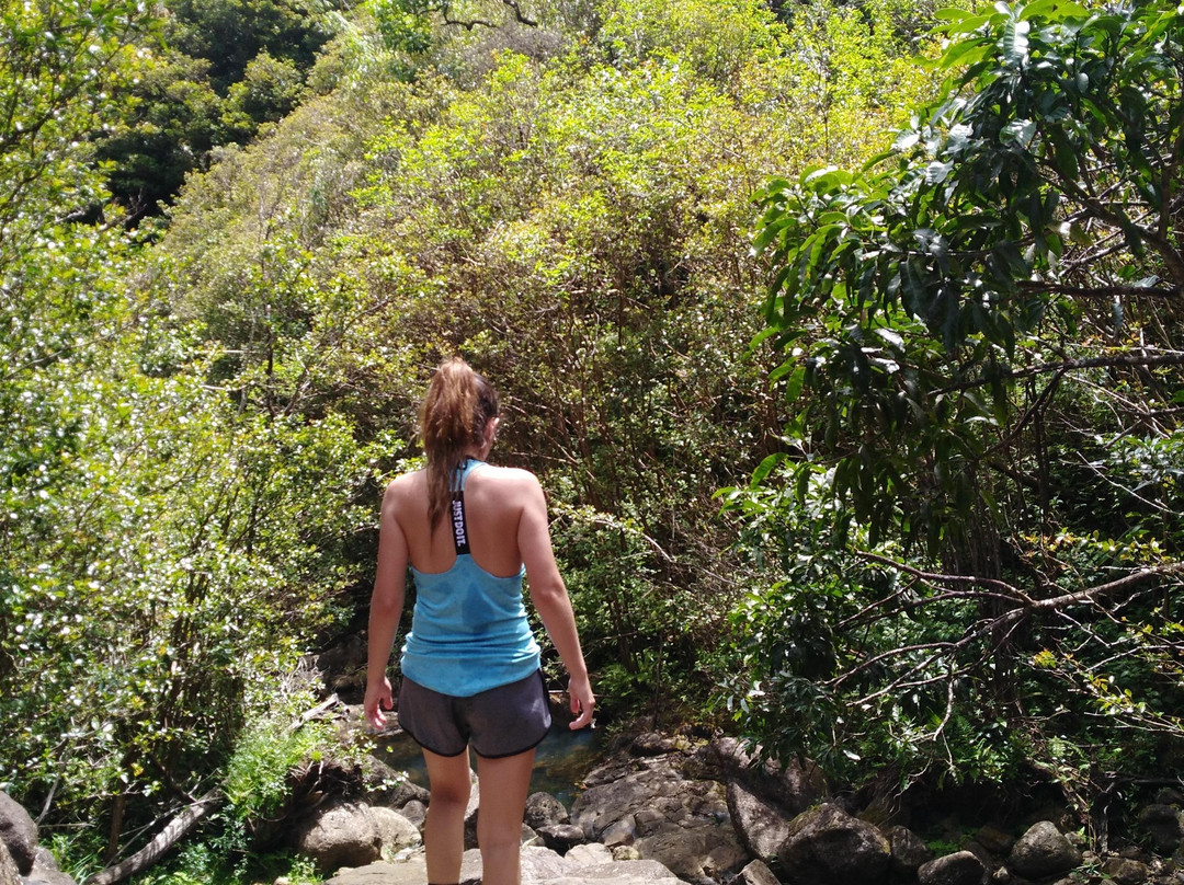 Stairway To Heaven Hawaii-火奴鲁鲁必去景点