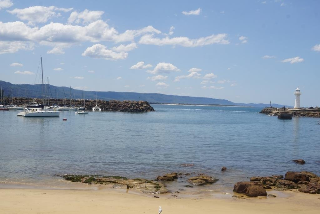 Brighton Beach-卧龙岗市必去景点