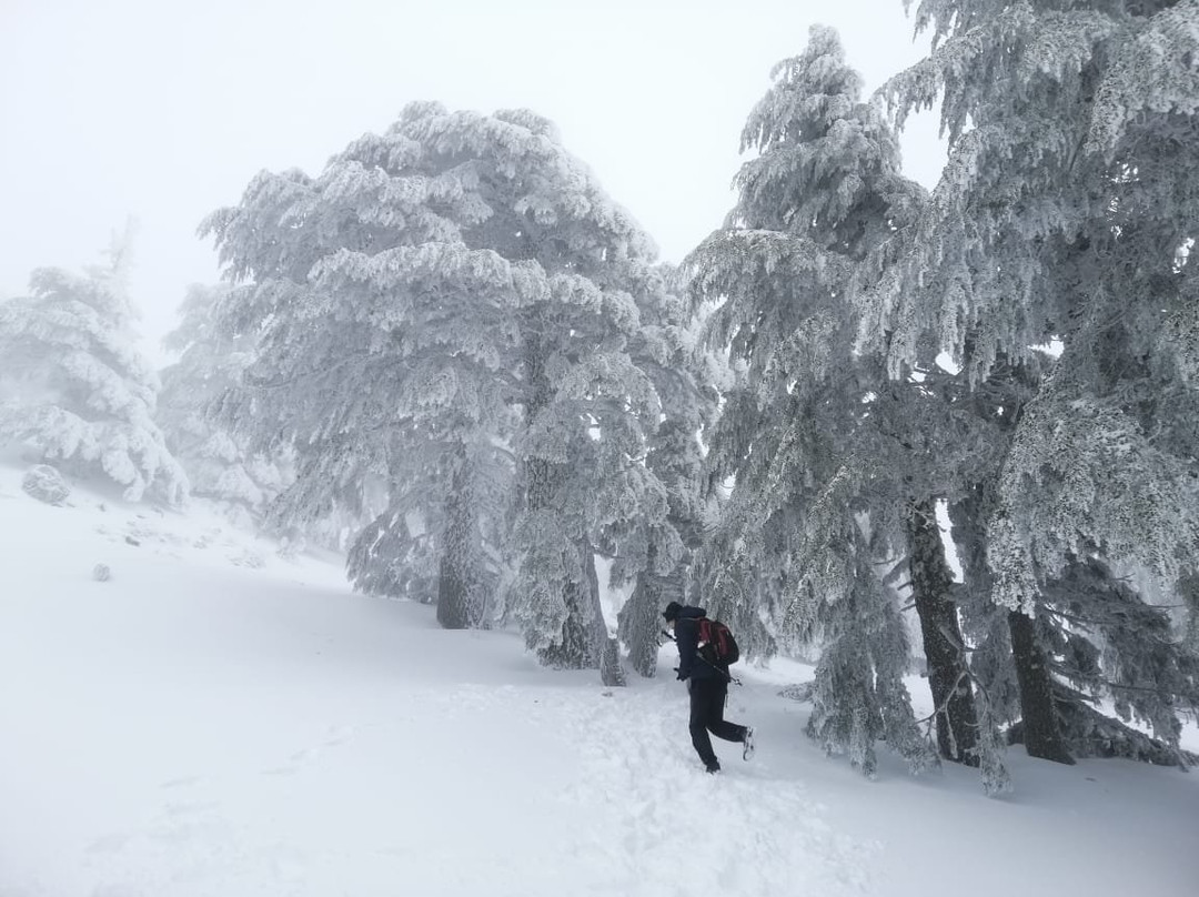 Hôtel Tidghine主图