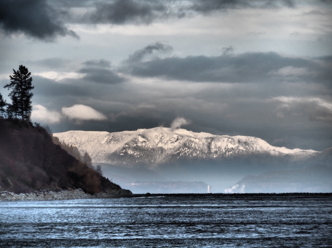 Goose Spit Park景点图片