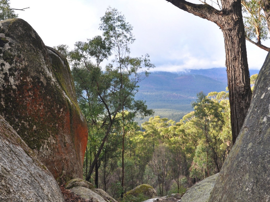 Gembrook旅游景点-Bunyip State Park