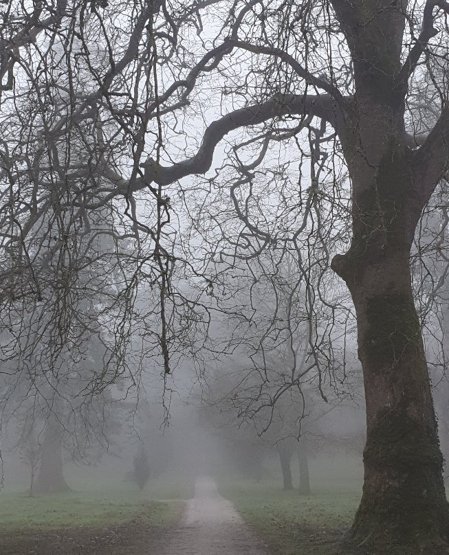 Curraghchase Forest Park-利默里克必去景点