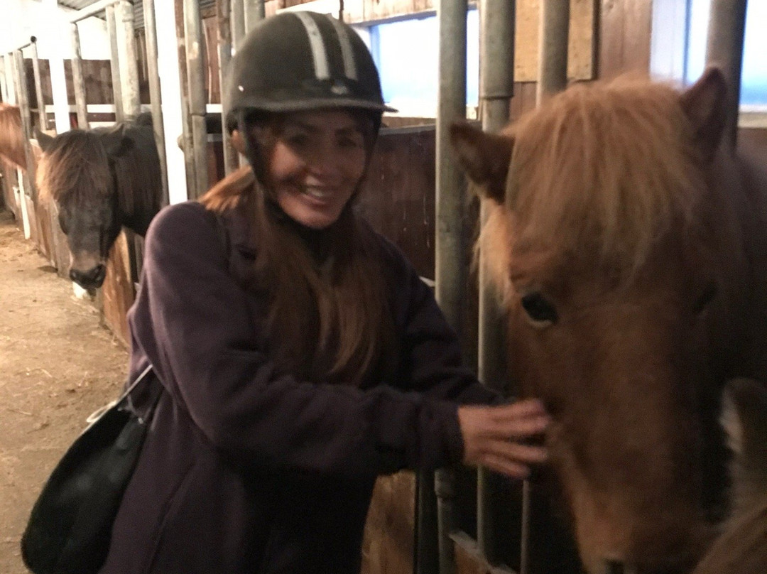 Alhestar Horse Rental and Tours-Thorlakshofn必去景点