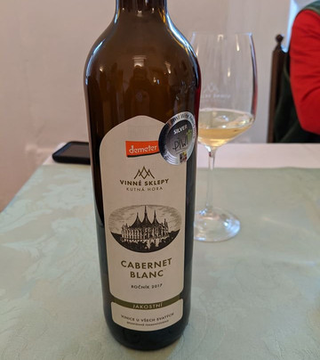 Vinne sklepy Kutna Hora-库特纳霍拉必去景点