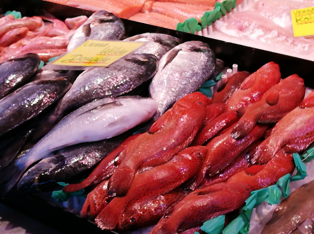 Haagse Markt-海牙必去景点