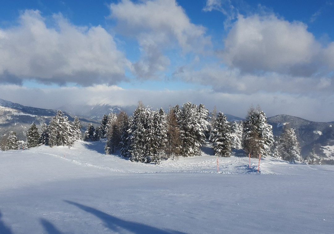 Hotel Waldschloßl主图