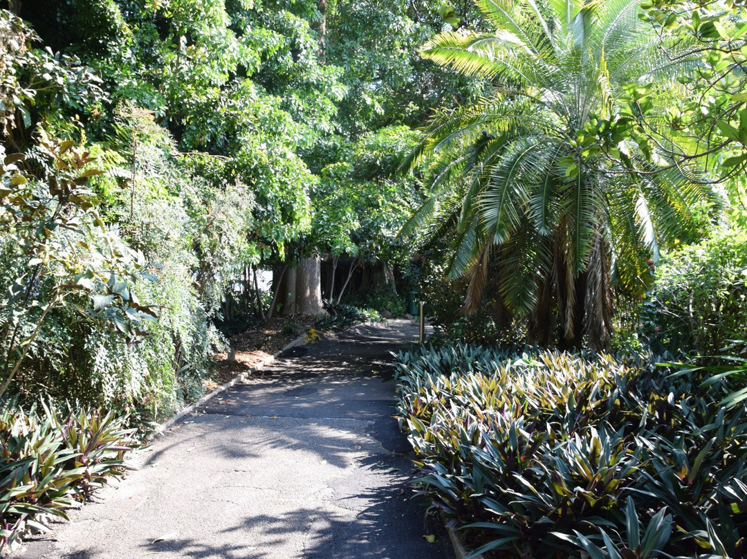 Queens Gardens Townsville-North Ward必去景点