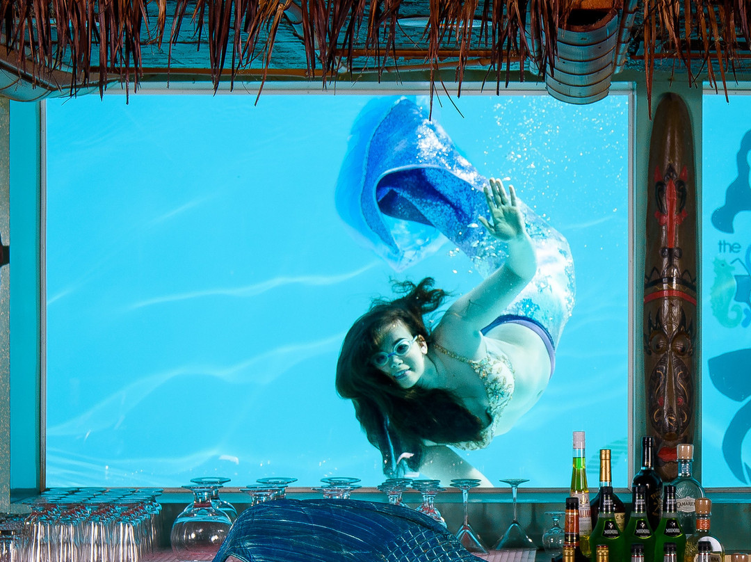 Sip 'n Dip Great Falls-大瀑布市必去景点