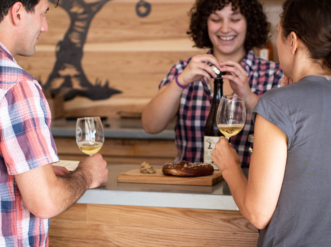 South Hill Cider-Danby必去景点