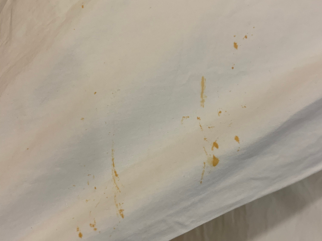 Thalloor's Hotel Sarah International主图