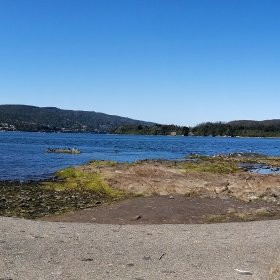 Isla Mancera-瓦尔迪维亚必去景点