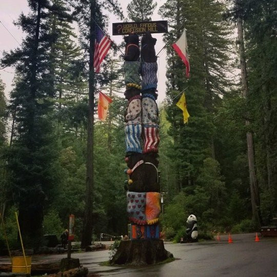 Confusion Hill Gravity House景点图片