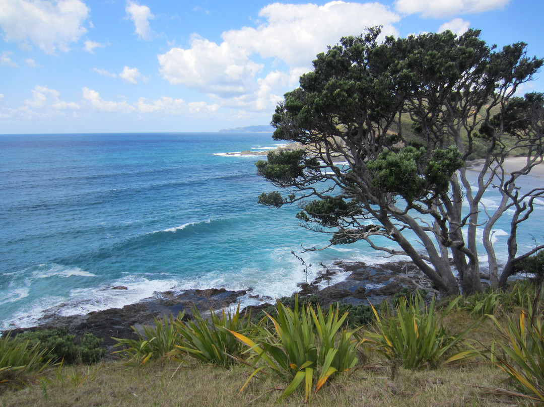 Te Paki Coastal Track-Te Paki必去景点