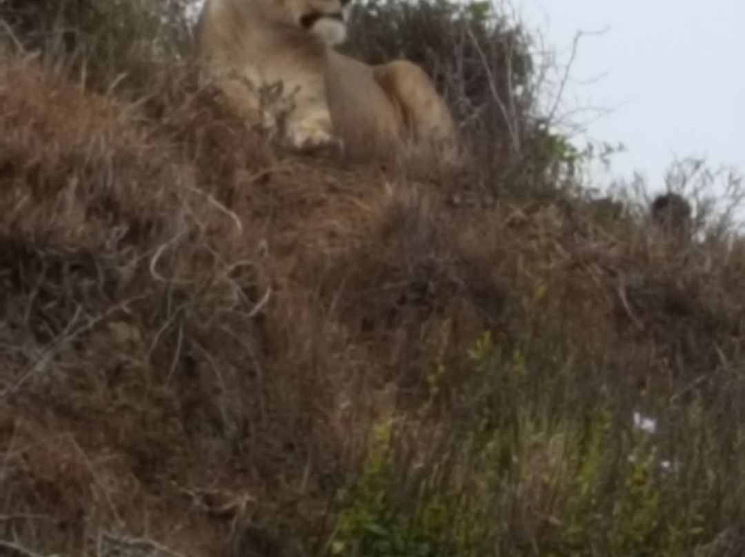 Silverleaf Travel and Tours-Parow必去景点