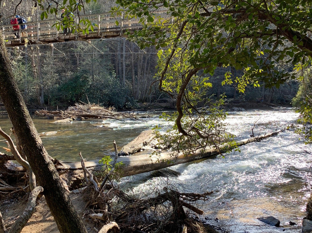Toccoa River Swinging Bridge景点图片