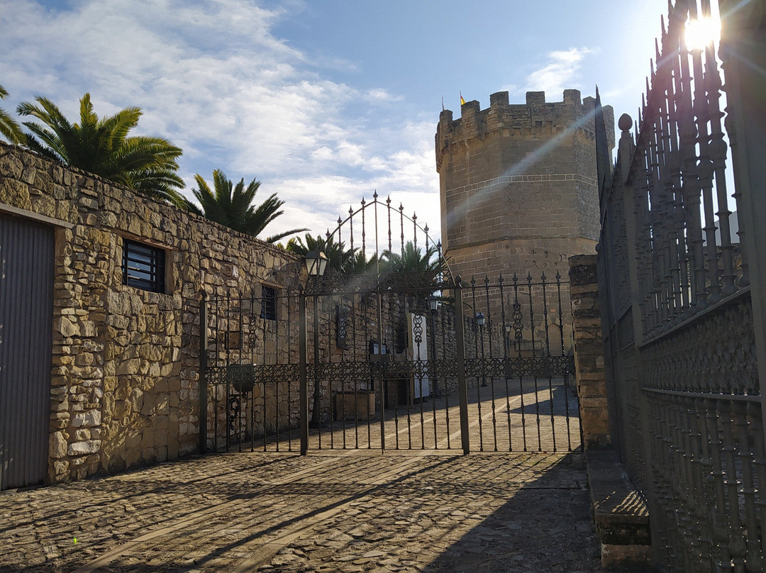 Museo y Conjuntos Arquelogicos Porcuna景点图片