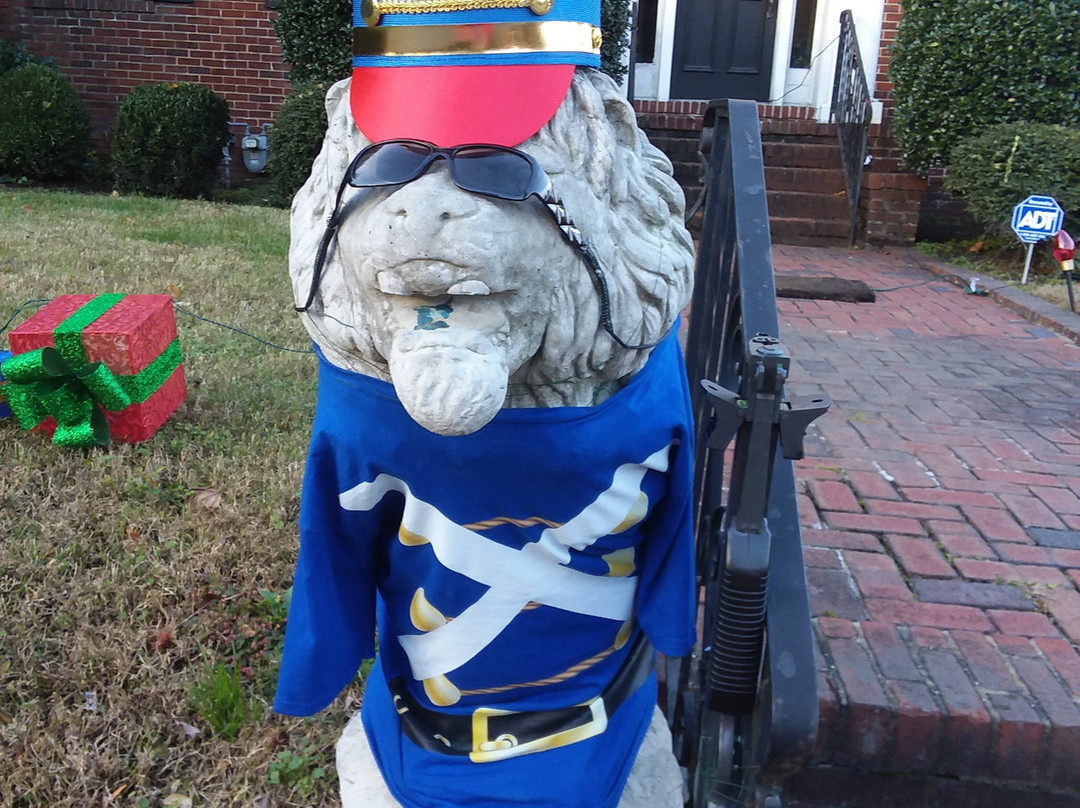 Scotch and Soda the Lions-诺福克必去景点