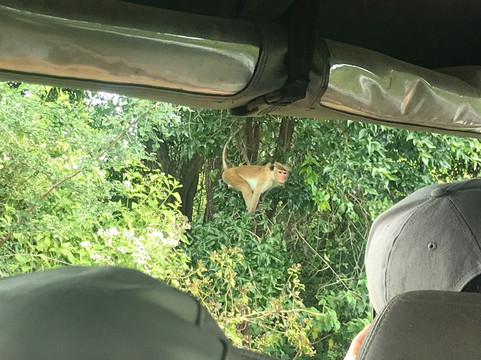 Uplanka Tours-卡卢特勒必去景点