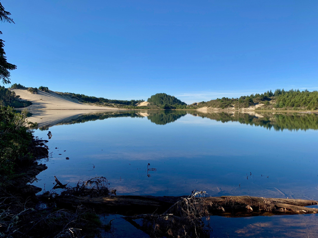 Jessie M. Honeyman Memorial State Park景点图片