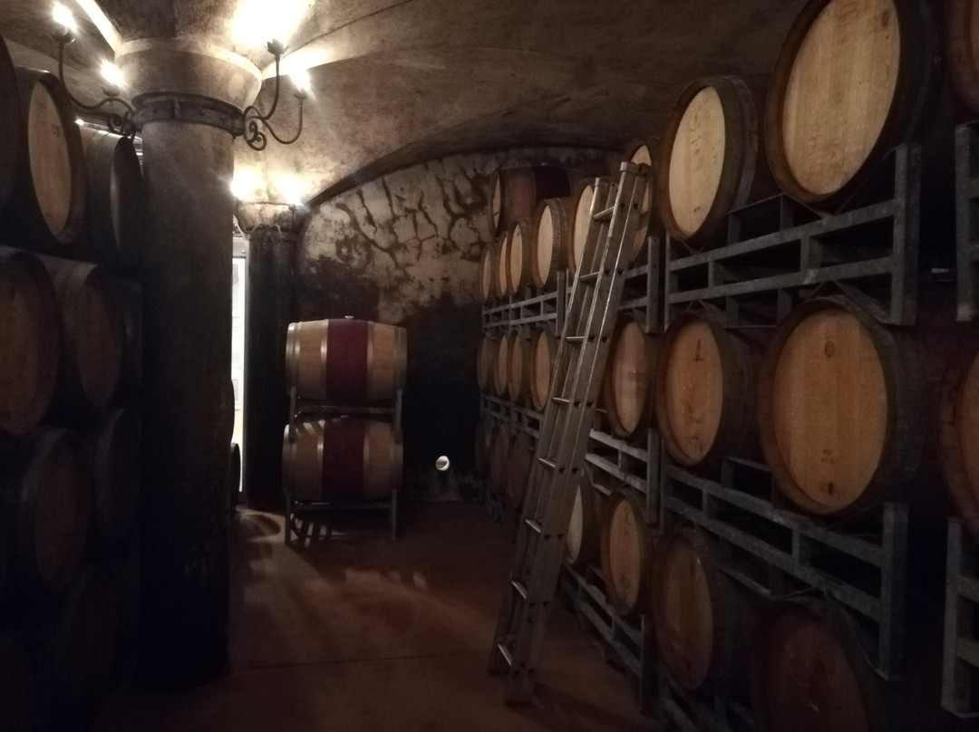 Avondale Wine-帕尔必去景点