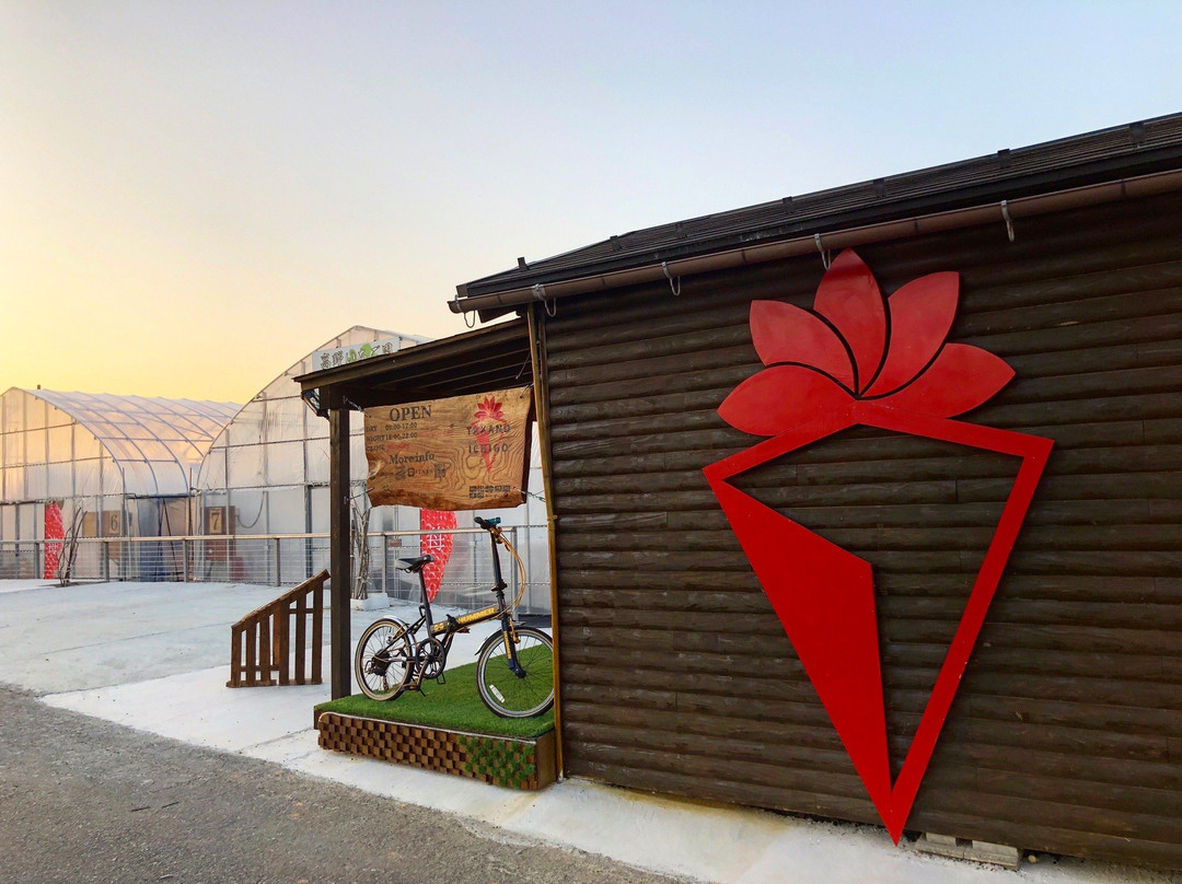 Takano Strawberry Farm-龙王町必去景点