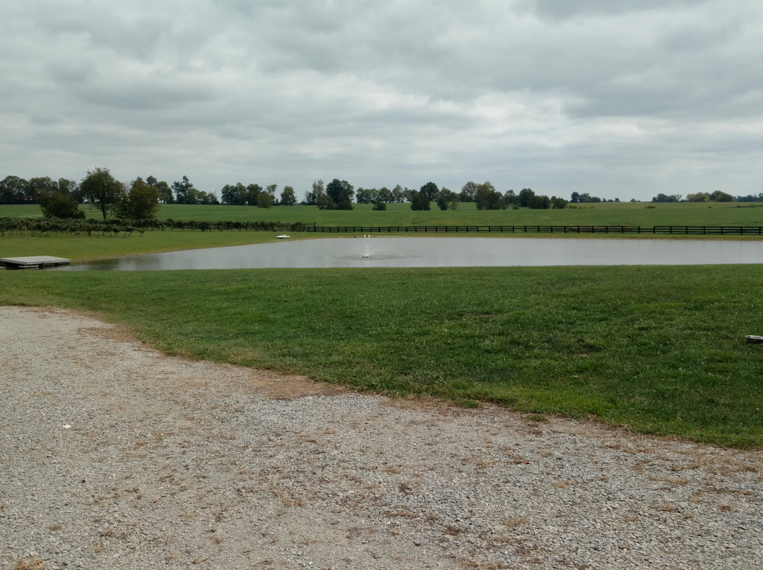 Prodigy Vineyards & Winery-法兰克福必去景点