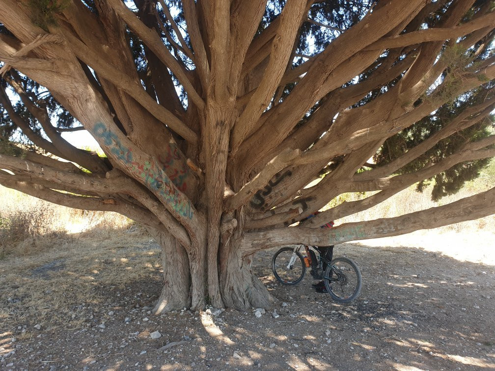 Go Bike Israel-特拉维夫必去景点