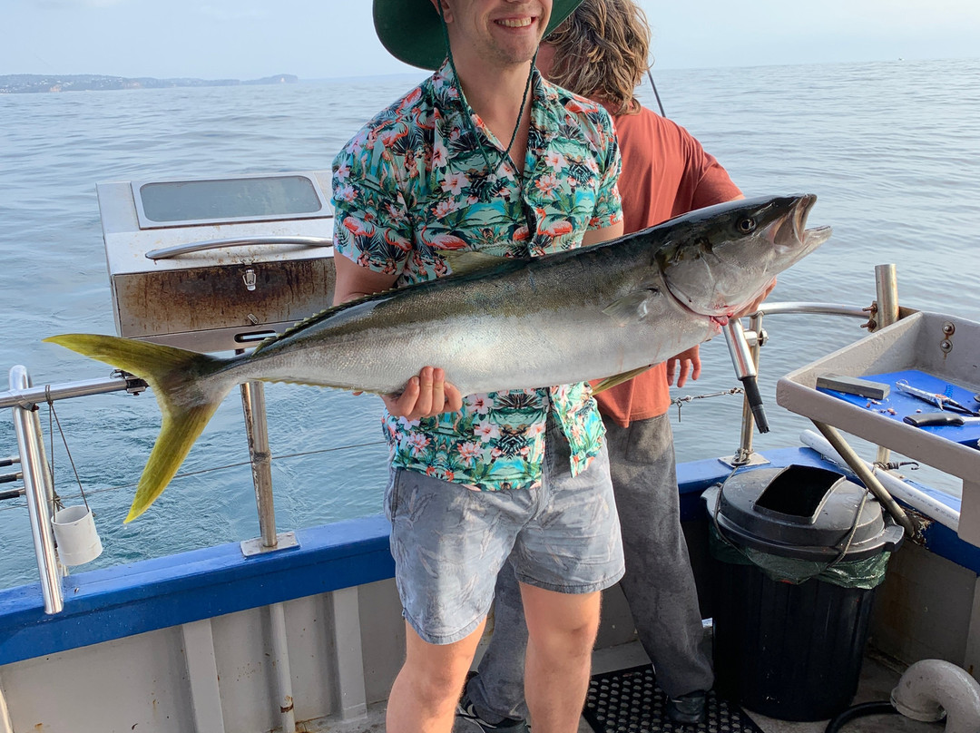 Deep Blue Charters Australia-Rose Bay必去景点