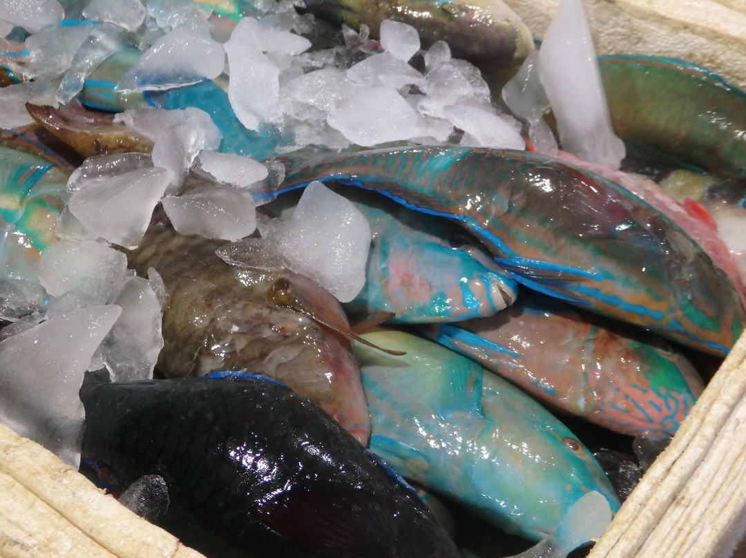 金巴兰鱼市场景点图片