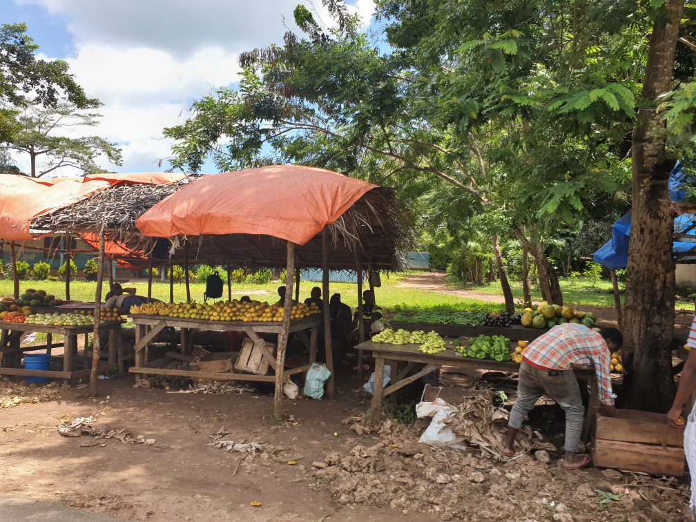 Zenjy Tours-桑给巴尔岛必去景点