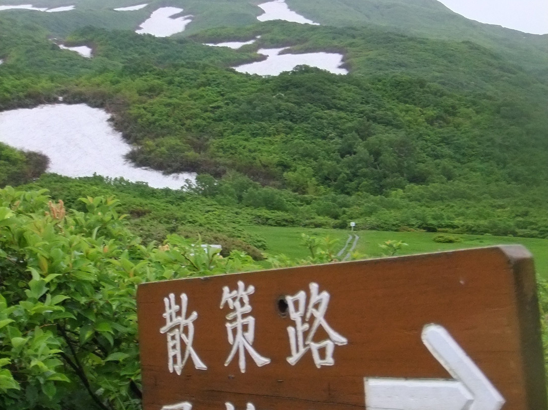 Chokaiso主图
