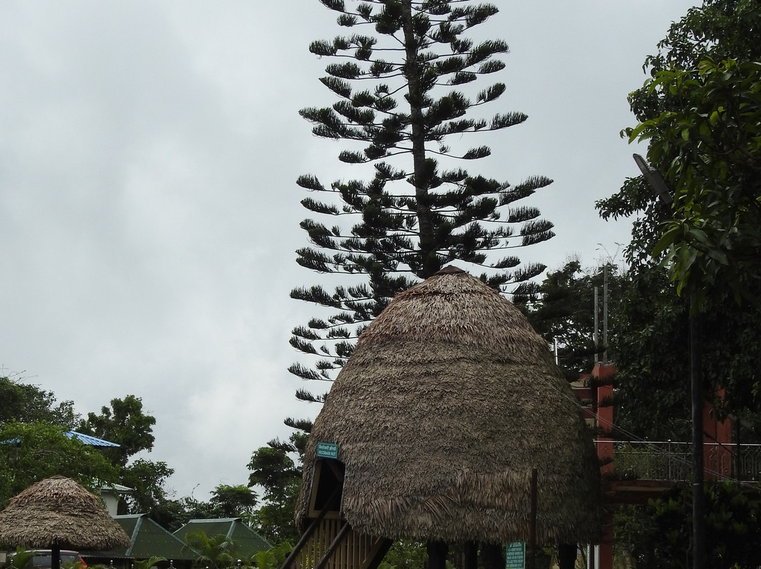 Mount Manipur National Park-布莱尔港必去景点