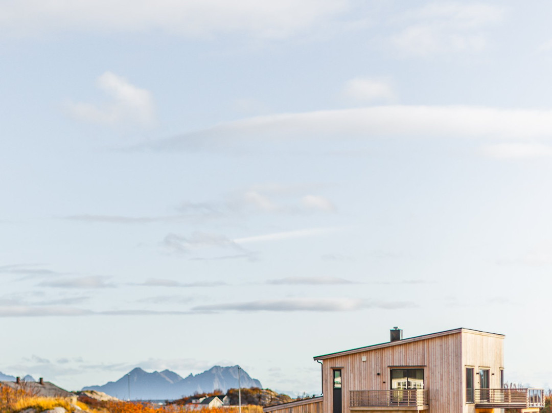 Lofoten Opplevelser景点图片