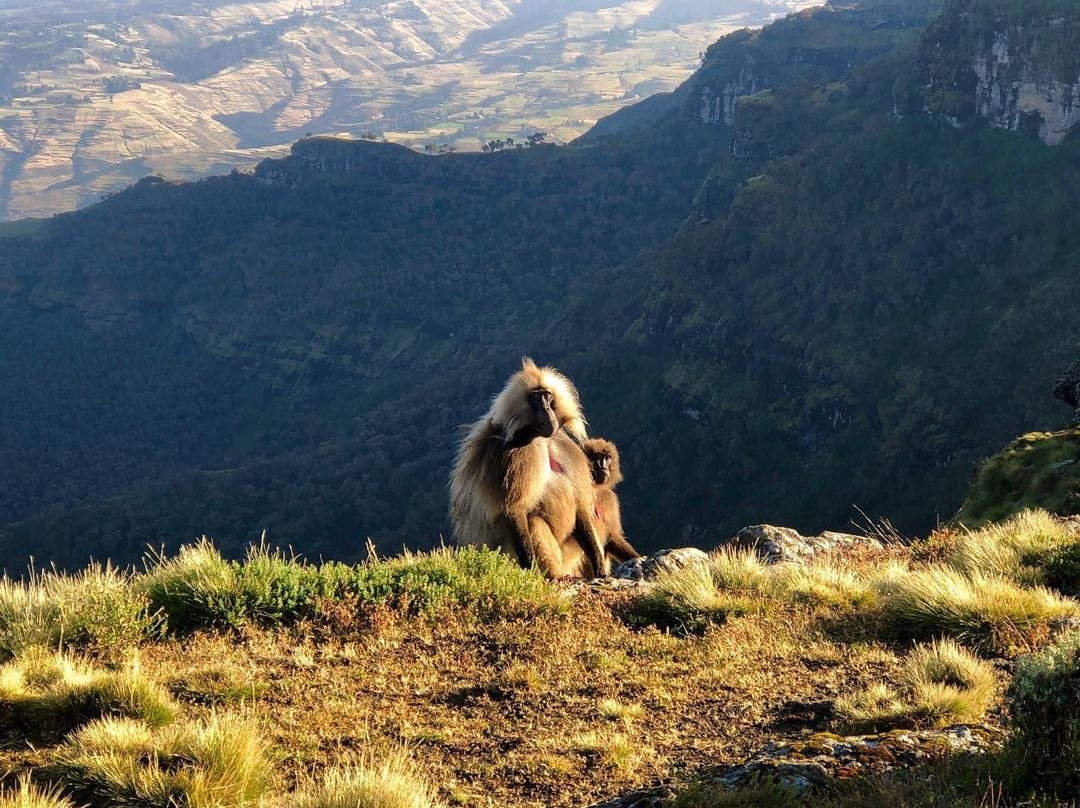 Trekking Ethiopia Tours - Day Tours景点图片