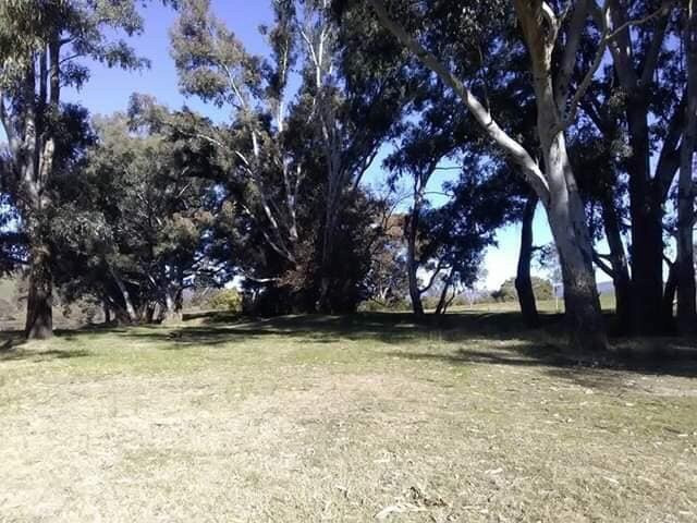 Burrowye Reserve景点图片