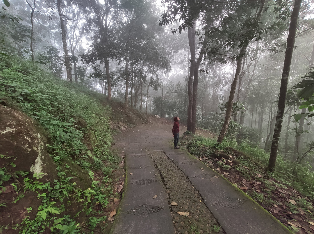 Wayanad Coffee Trail Resort主图