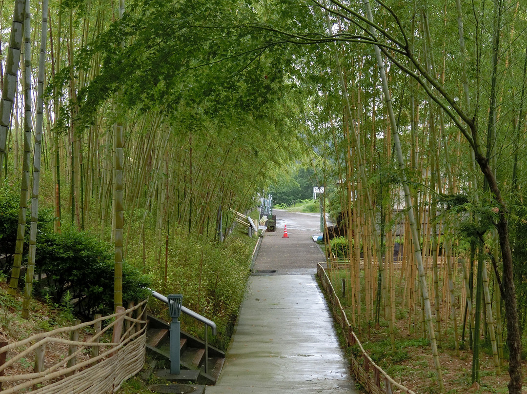 Takayama Chikurin Park (Takayama Bamboo Garden and Museum).景点图片