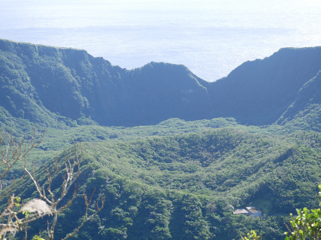 Oyama Tembo Park-青岛必去景点