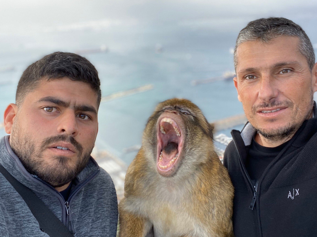 Gibraltar Sightseeing-Gibraltar Town必去景点