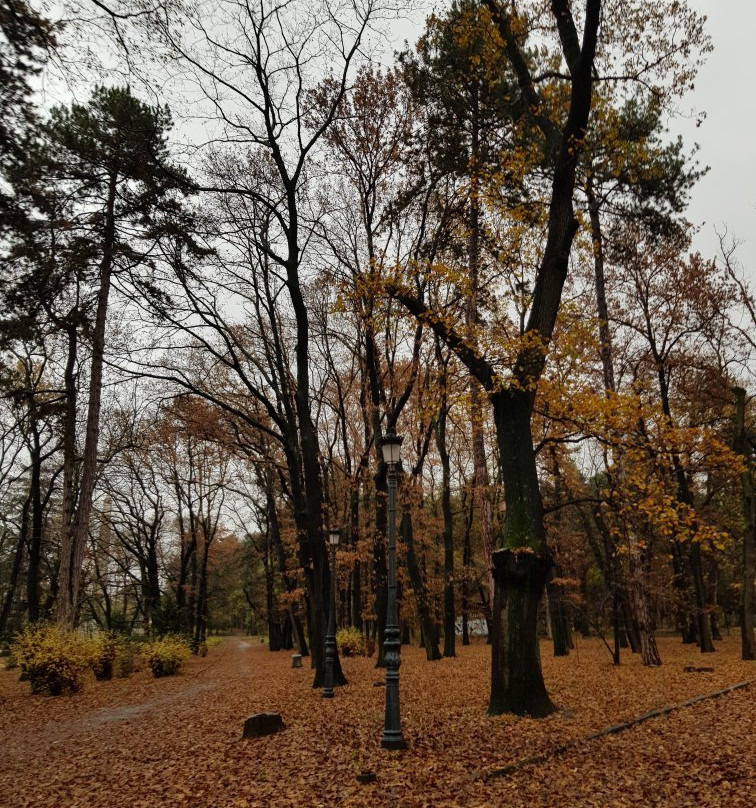 Zapaden Park-索非亚必去景点