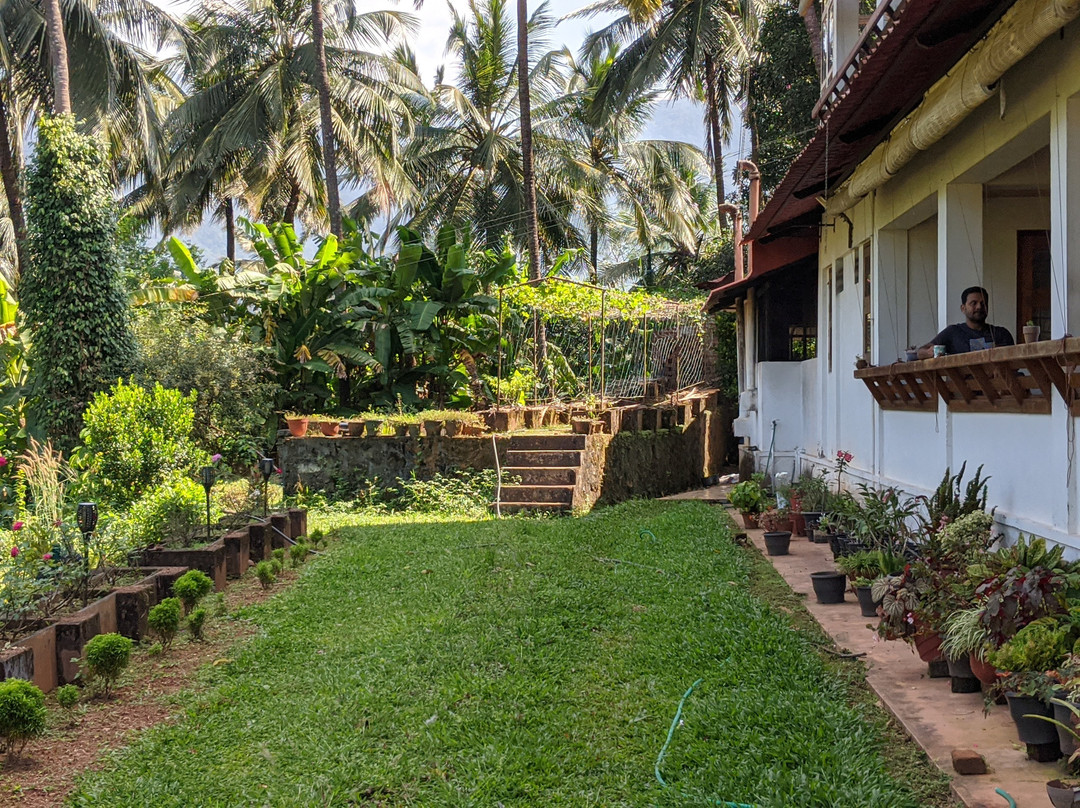 Gingerhill Nest主图