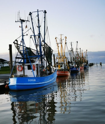 Leuchtturm Obereversand-Dorum必去景点