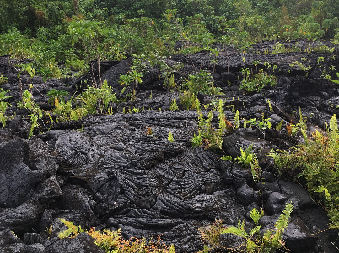 Saleaula Lava Fields-萨瓦伊岛必去景点